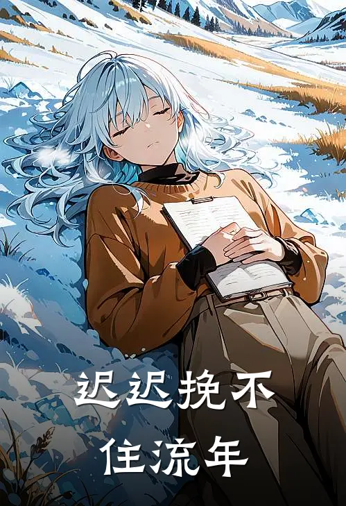 迟迟挽不住流年