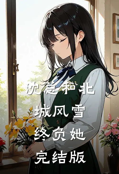 沈总和北城风雪，终负她完结版